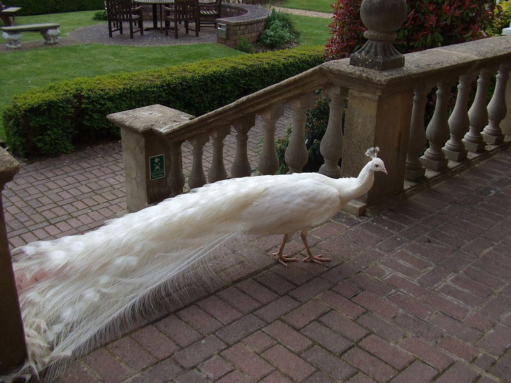 Pendley Manor Hotel Tring Exterior foto